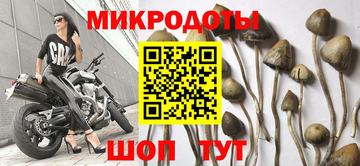 Галлюциногенные грибы MAGIC MUSHROOMS  Вход с VPN  Москва  Псилоцибиновые грибы Psilocybe 